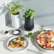 Load image into Gallery viewer, Tumbler Indoor Grow Kit: Basil