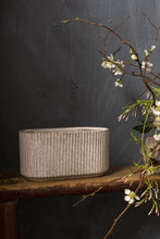 Load image into Gallery viewer, Potted Dish Garden - Medium