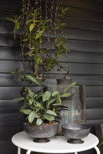 Load image into Gallery viewer, Potted Dish Garden - Medium