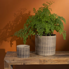 Load image into Gallery viewer, Potted Plant - Large