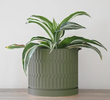 Load image into Gallery viewer, Mabel Planter in Matte Dark Green
