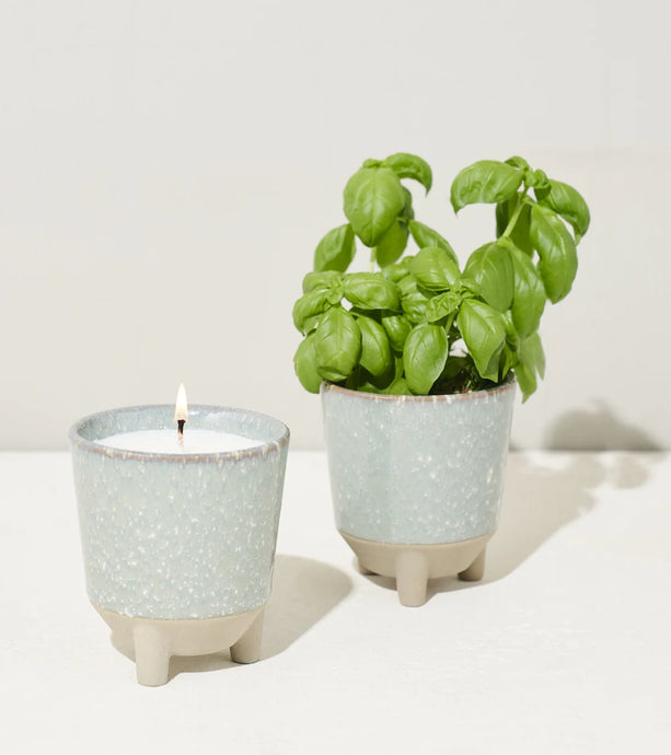 Glow and Grow Herb Garden Candle - Basil