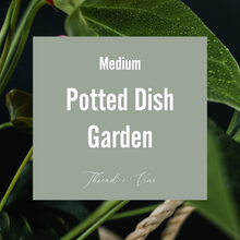 Load image into Gallery viewer, Potted Dish Garden - Medium