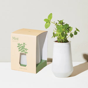 Tumbler Indoor Grow Kit: Mint