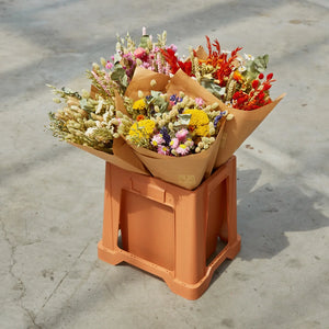 Large Classic Dried Flower Bouquet - Orange