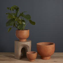 Load image into Gallery viewer, Potted Plant - Medium