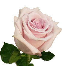 Load image into Gallery viewer, 2 Dozen Premium Rose Bouquet