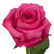 Load image into Gallery viewer, 2 Dozen Premium Rose Bouquet