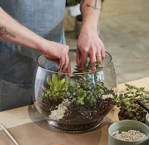 files/succulentterrarium_edcc199e-72fe-477f-911b-8b3409e8f8b6.png
