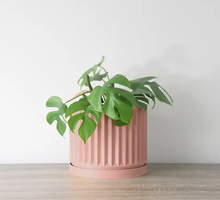 Load image into Gallery viewer, Spring Breeze Planter in Country Pink